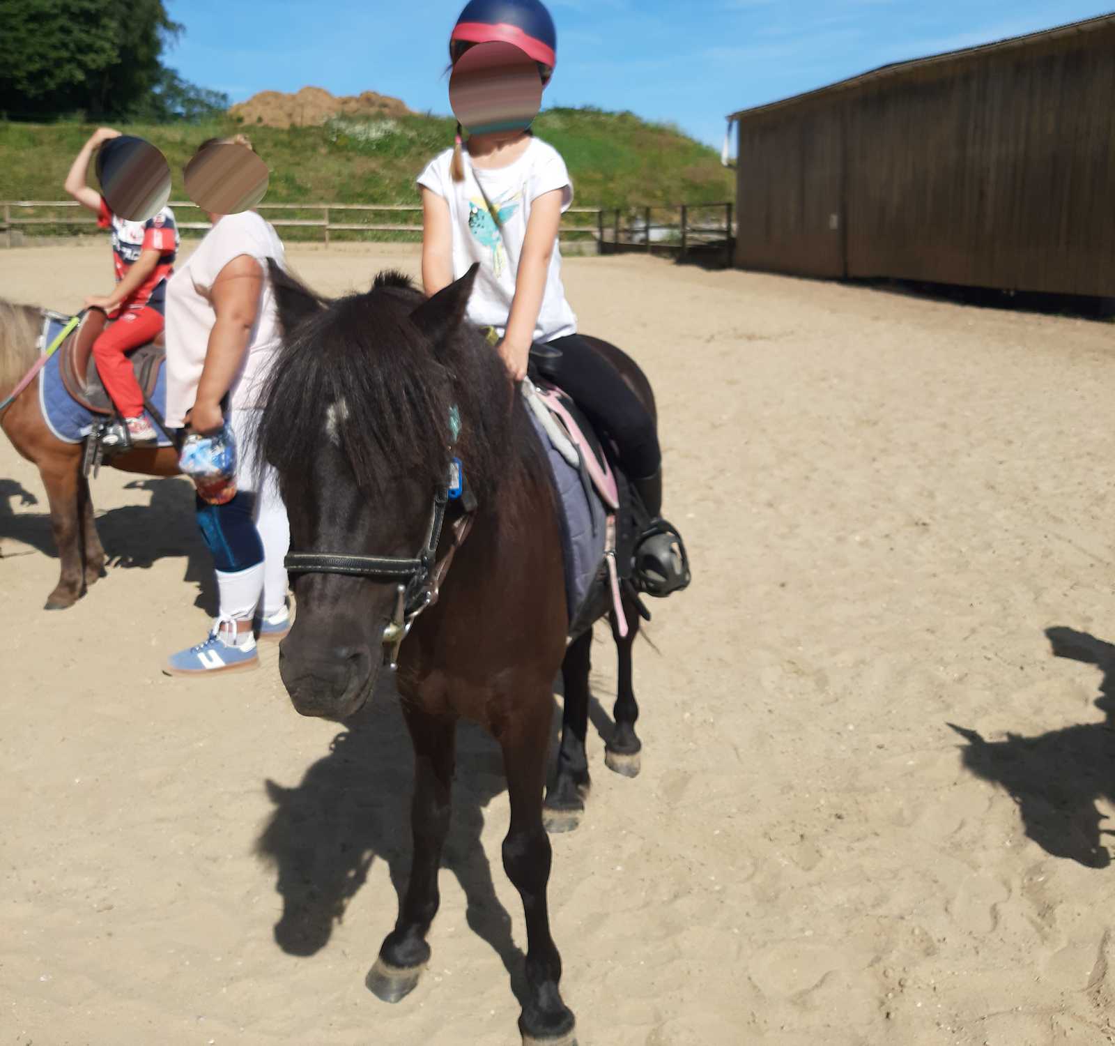 Un groupe d'enfants à poney lors de l'opération Brioches